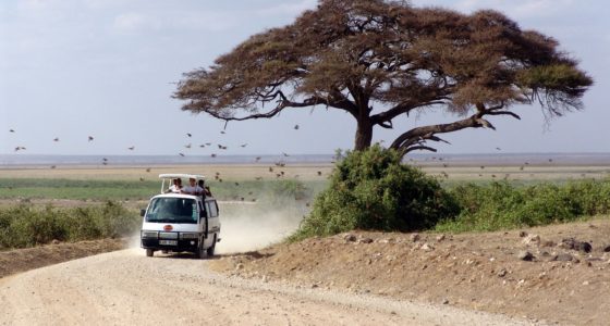Kenya Safari Africa trip tour travel vacations